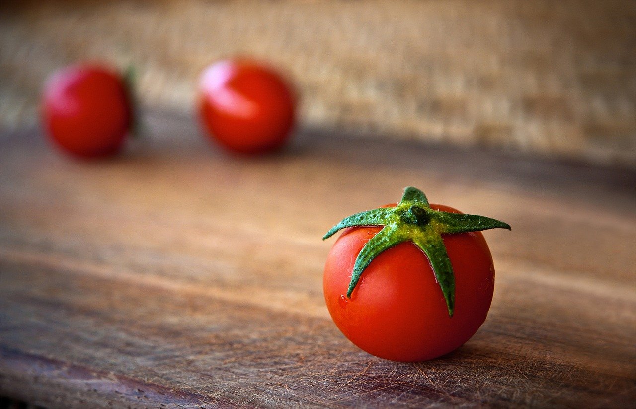 Top 10 Best Tips of Growing Tomatoes in Ontario Ontario Farms and Land Group Farm Real Estate