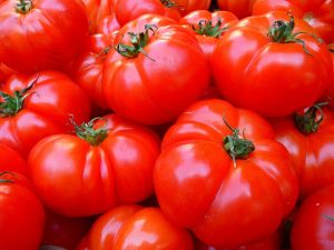Growing Tomatoes in Ontario