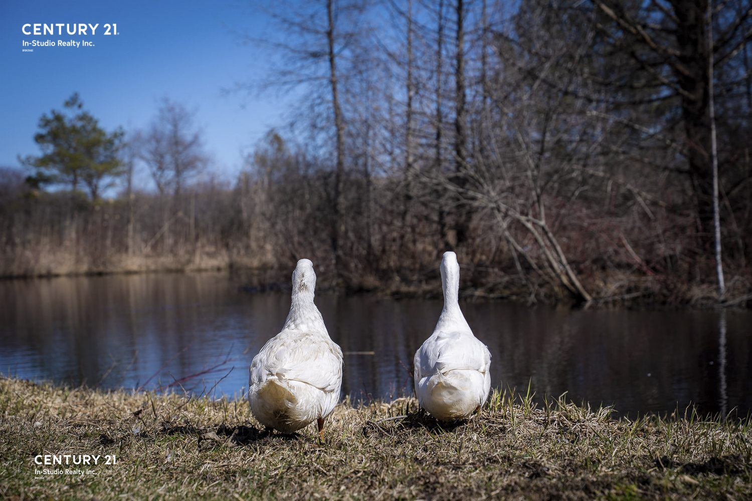 York Toronto Farms For Sale Ontario Farms and Land Group Farm Real