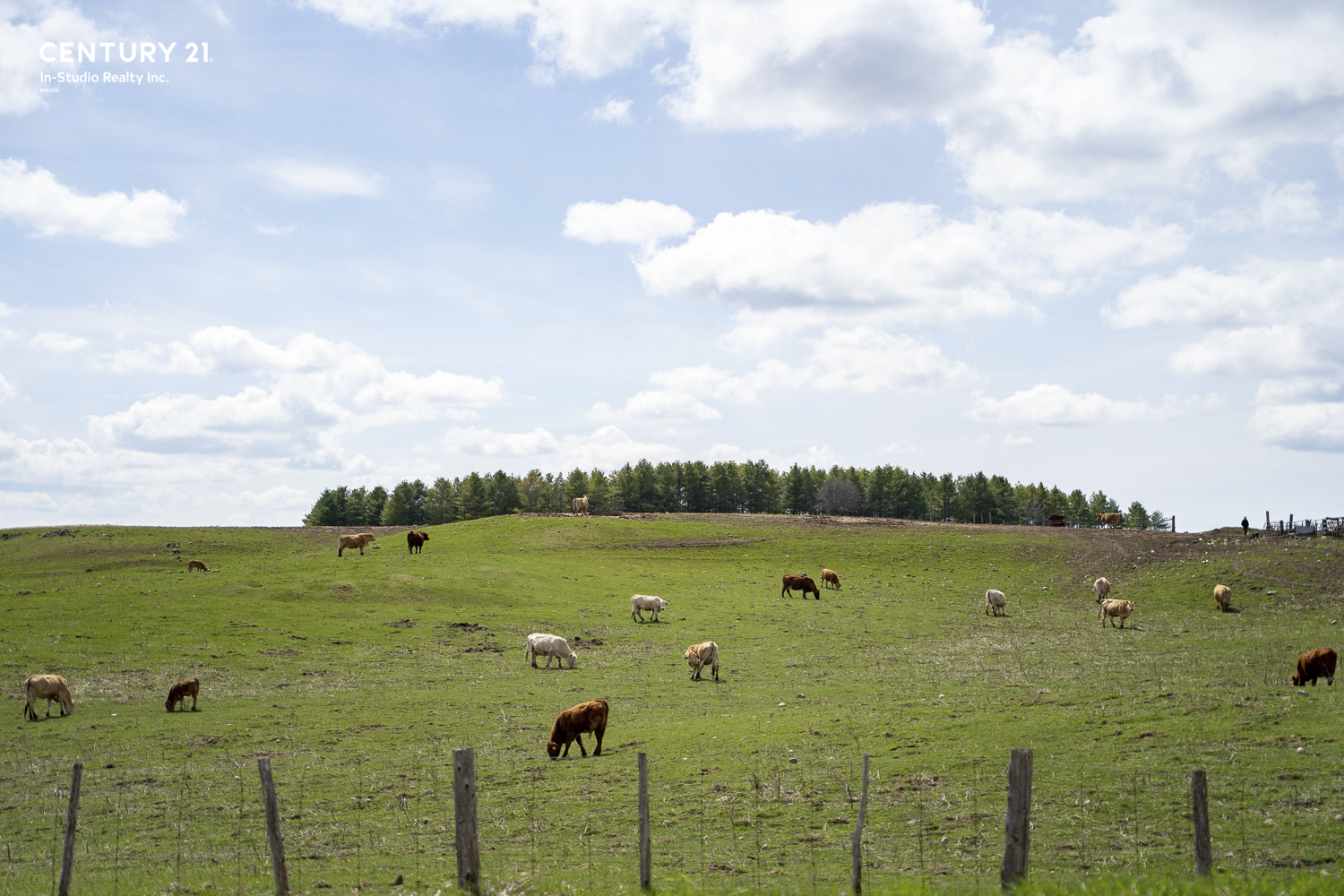 Dufferin Simcoe Farms For Sale Ontario Farms and Land Group Farm Real Estate Dufferin Simcoe Farms For Sale Ontario Farms and Land Group Farm Real Estate